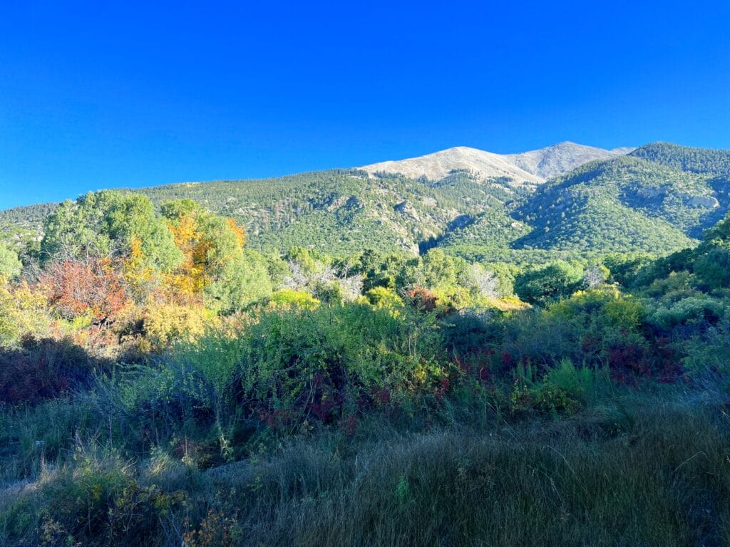 Blanca Peak West Ranch For Sale Colorado Hunting 1,680± Acres