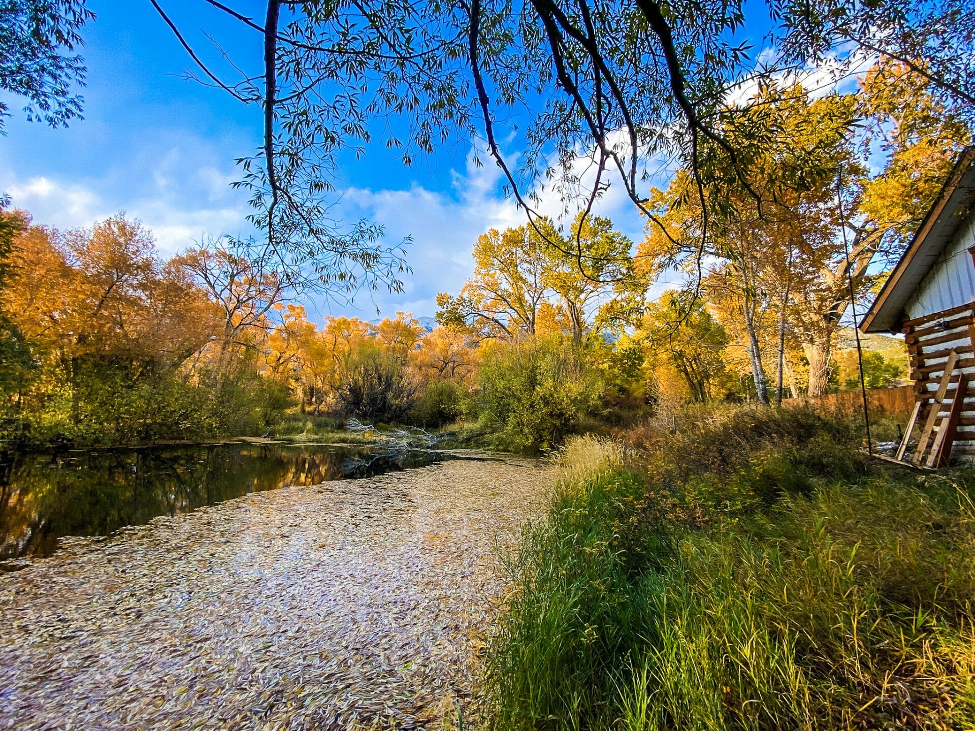 Weeping Willow Ranch For Sale | Barbara Creek Colorado | View Now