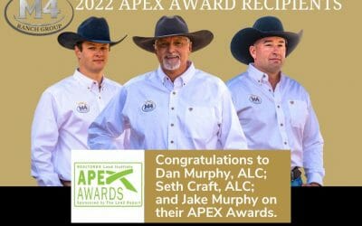 APEX Award Winners