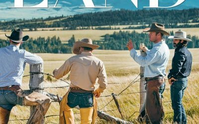 Reflecting on Relationships in Land Sales
