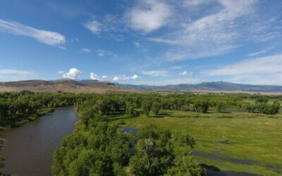 Colorado Cattle Ranches For Sale - M4 Ranch Group