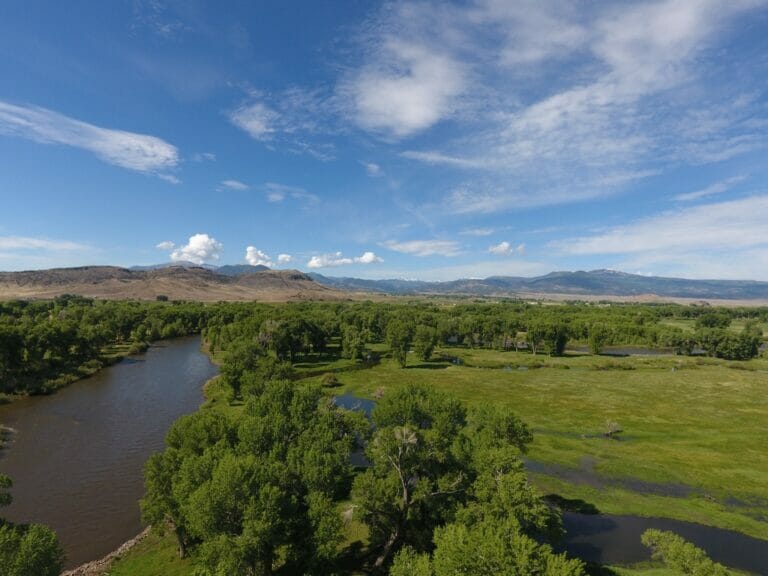 Colorado Cattle Ranches for Sale | grazing & fertile land for cattle