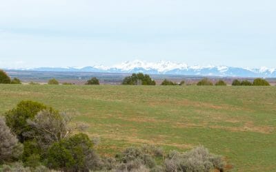 Walton Ranch