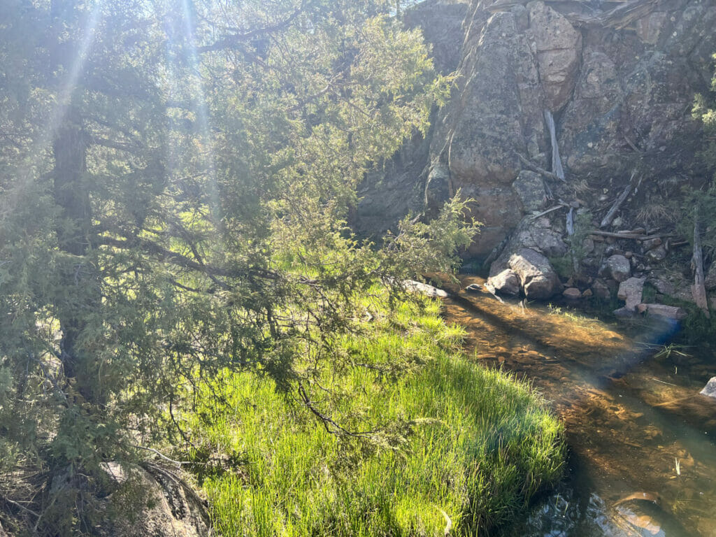 Bluewater Creek Ranch For Sale New Mexico M4 Ranch Group