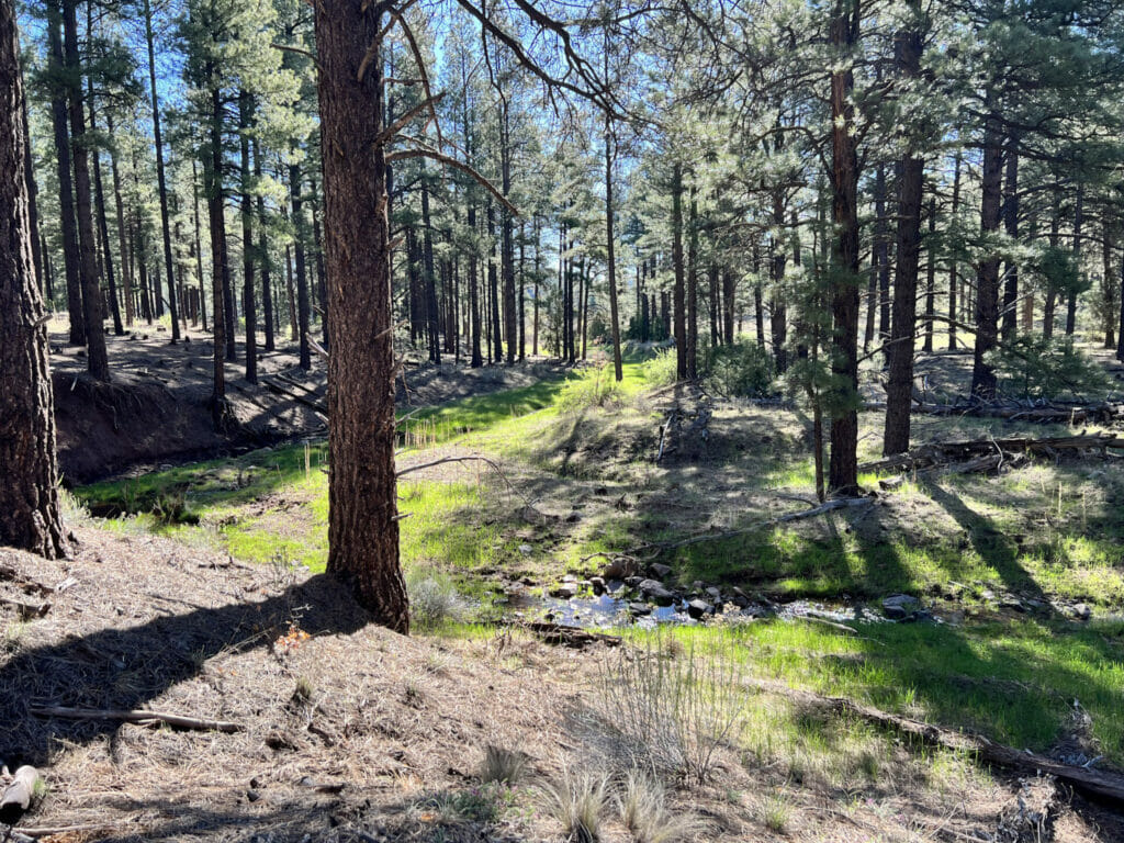 Bluewater Creek Ranch For Sale New Mexico M4 Ranch Group
