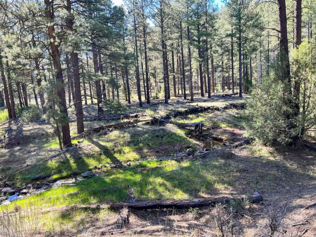 Bluewater Creek Ranch For Sale New Mexico M4 Ranch Group
