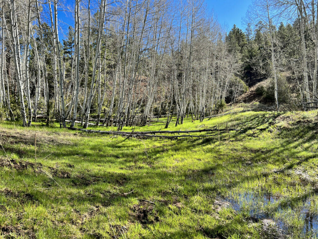 Bluewater Creek Ranch For Sale New Mexico M4 Ranch Group