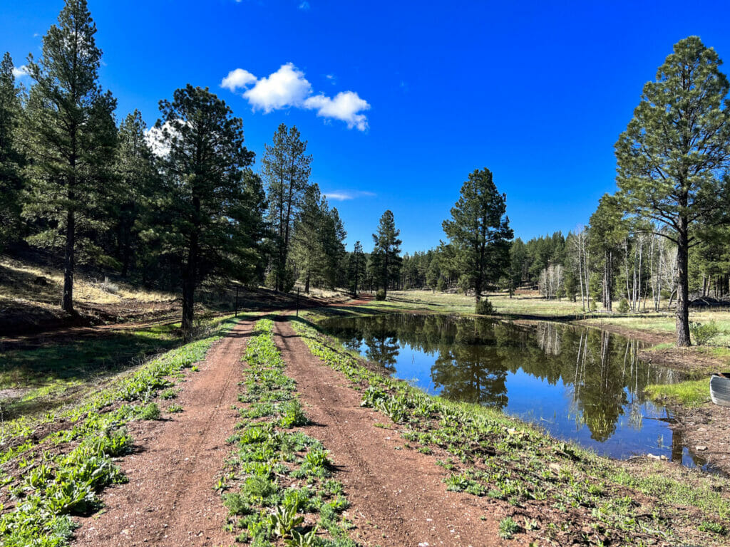 Bluewater Creek Ranch For Sale New Mexico M4 Ranch Group