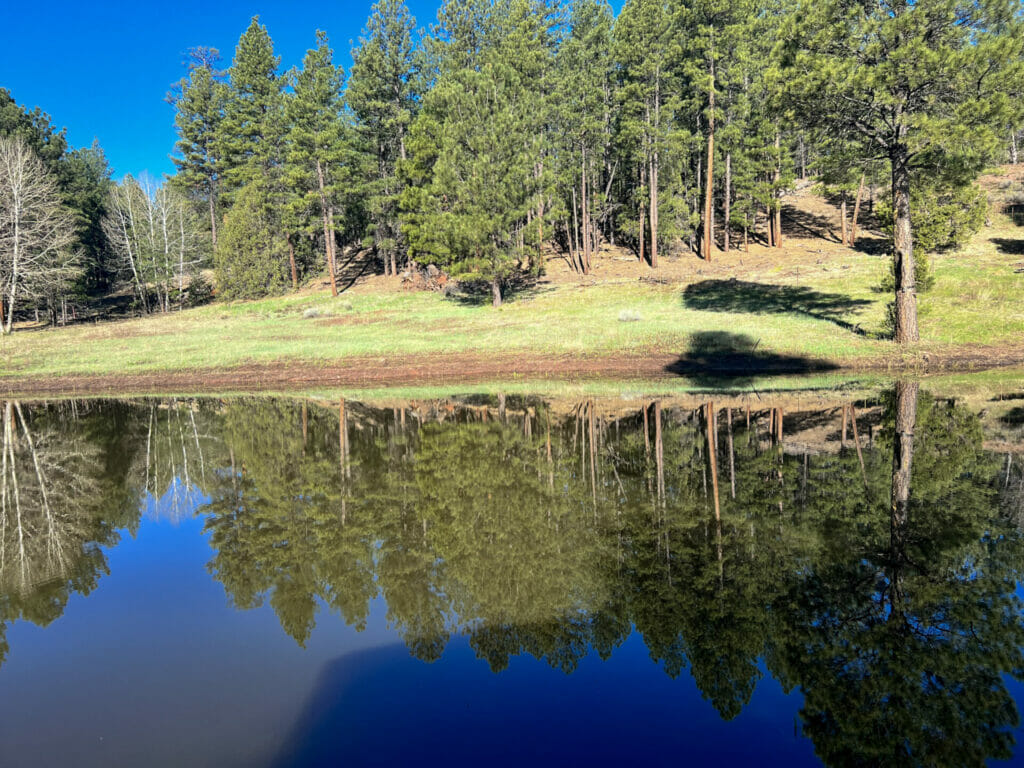 Bluewater Creek Ranch For Sale New Mexico M4 Ranch Group