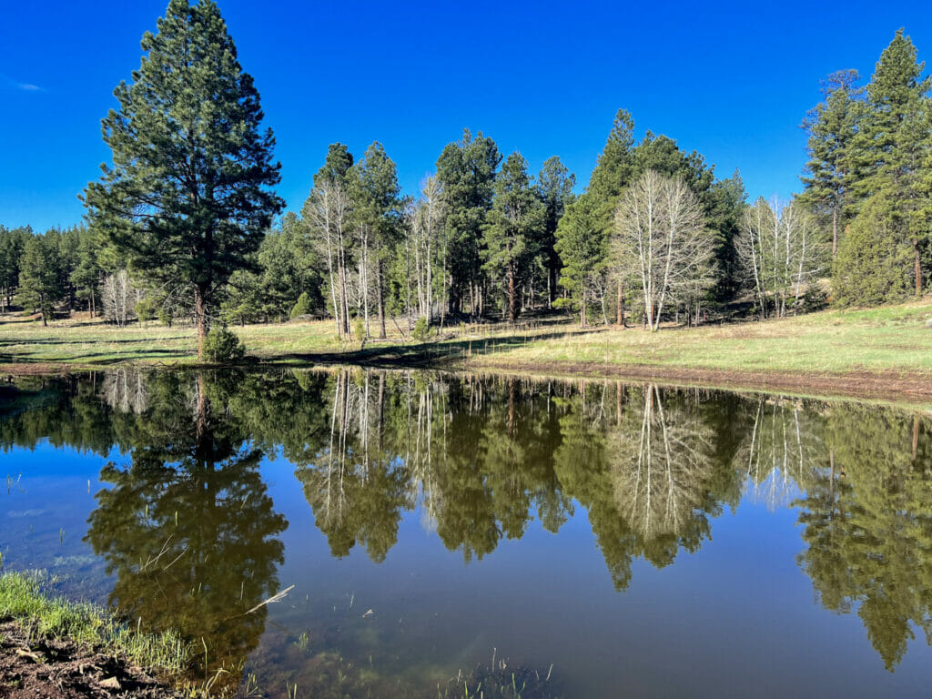 Bluewater Creek Ranch For Sale New Mexico M4 Ranch Group