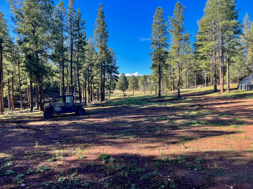 Bluewater Creek Ranch For Sale New Mexico M4 Ranch Group