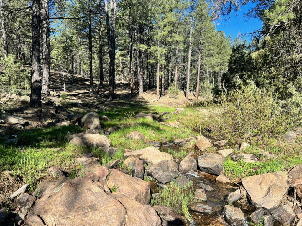 Bluewater Creek Ranch For Sale New Mexico M4 Ranch Group