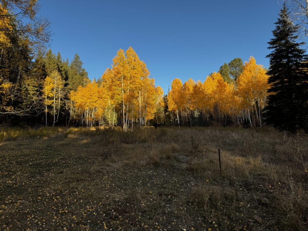 Bluewater Creek Ranch For Sale New Mexico M4 Ranch Group