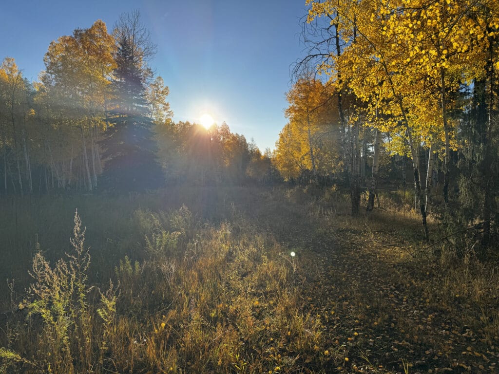 Bluewater Creek Ranch For Sale New Mexico M4 Ranch Group