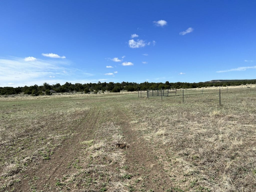 Western Bell Ranch | New Mexico Big Game Hunting Ranch | View