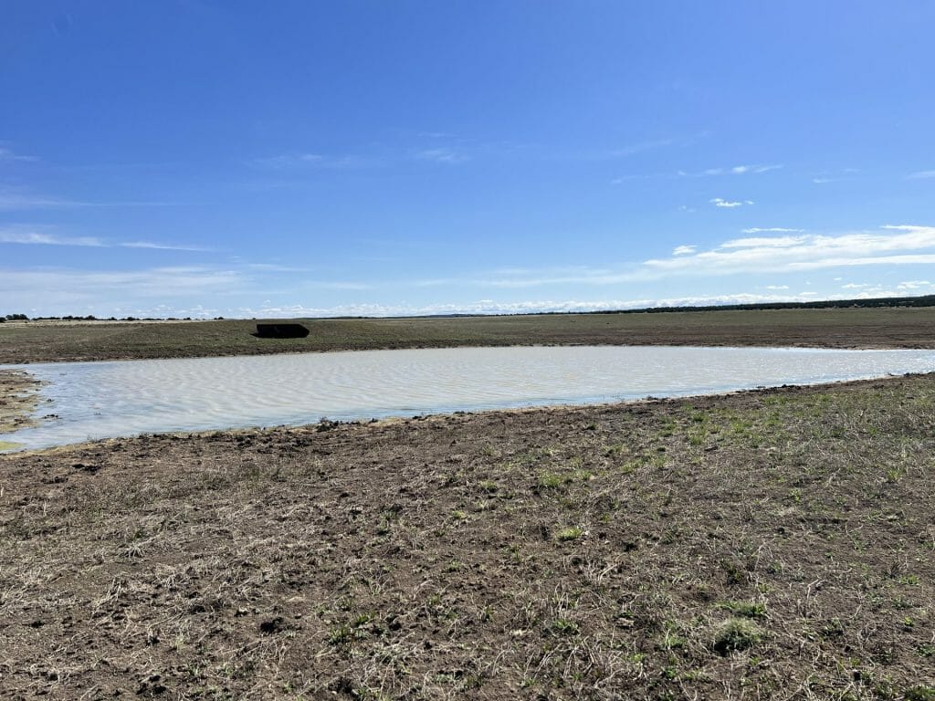 Western Bell Ranch | New Mexico Big Game Hunting Ranch | View