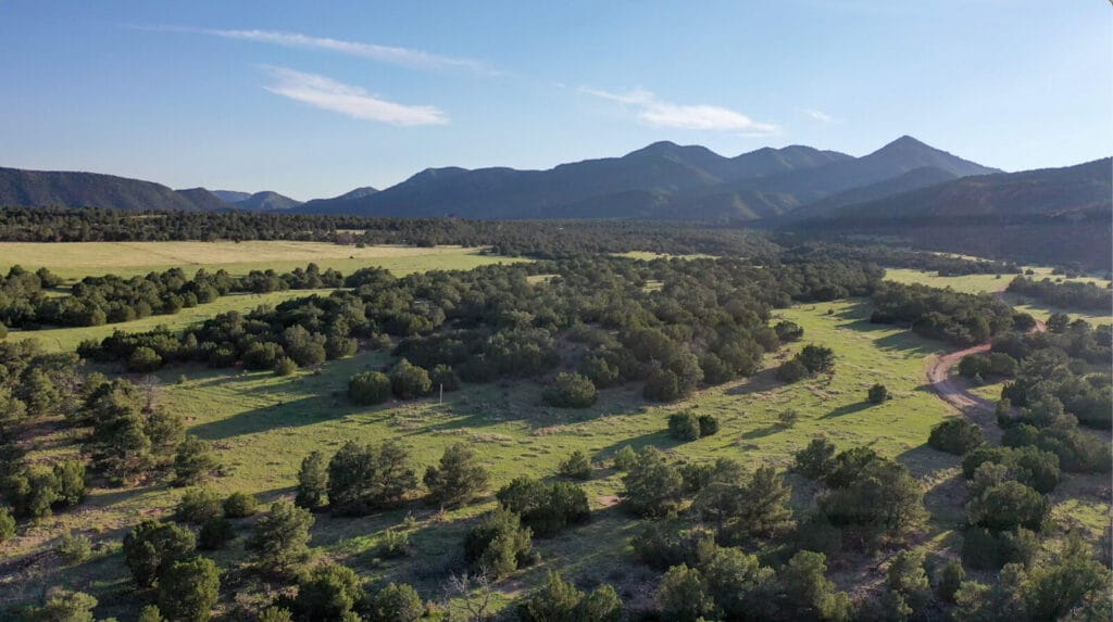 Red Canyon Equestrian Estate For Sale Colorado M4 Ranch Group