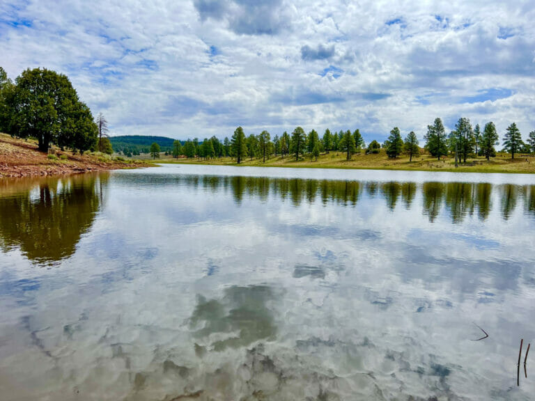 New Mexico Ranches For Sale  Cattle, Hunting, Horse & Farm Land