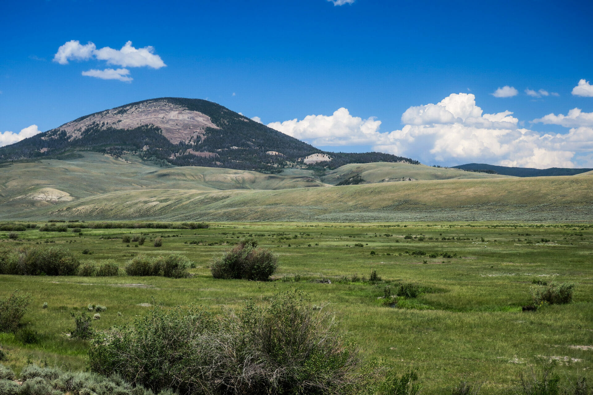 Colorado Cattle Ranches for Sale | grazing & fertile land for cattle