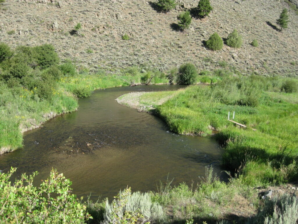 Cebolla Creek Shared Ranch For Sale in Colorado | M4 Ranch Group