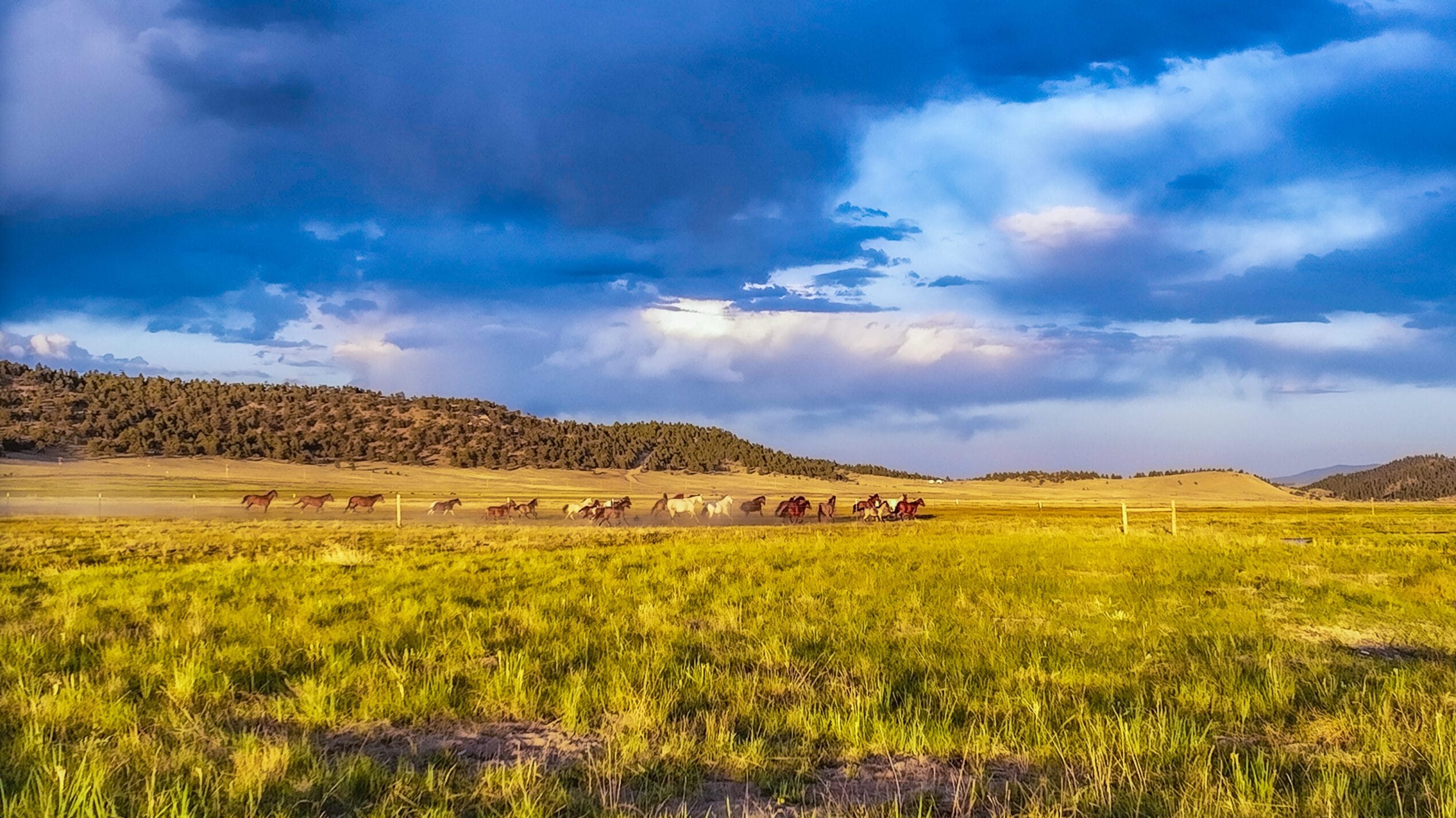 Colorado Ranch, M4 Ranch Group | Payton Craft, Ranch Broker