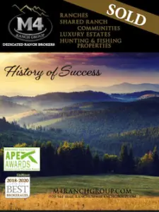 M4-HistoryOfSuccess-webp