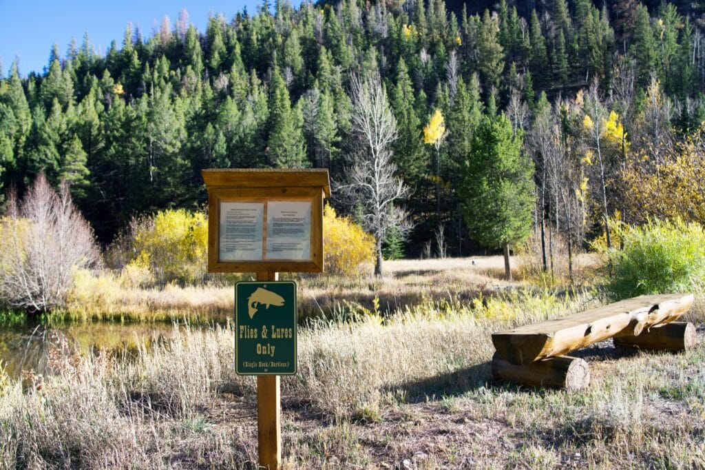 Silver Creek Cabin For Sale Saguache Colorado M4 Ranch Group