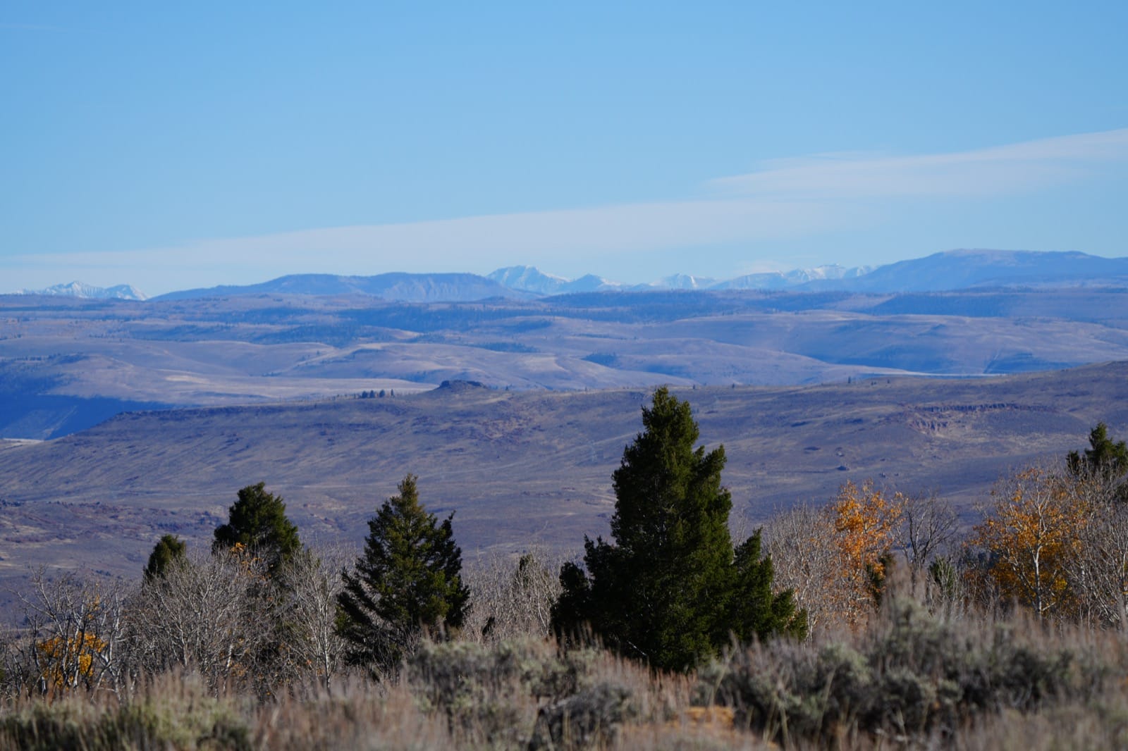 Expansive Landscape of 1765+/- Acre Property, Big Willow Creek Ranch with Views of the Uncompahgre National Forest - A Colorado Ranch For Sale