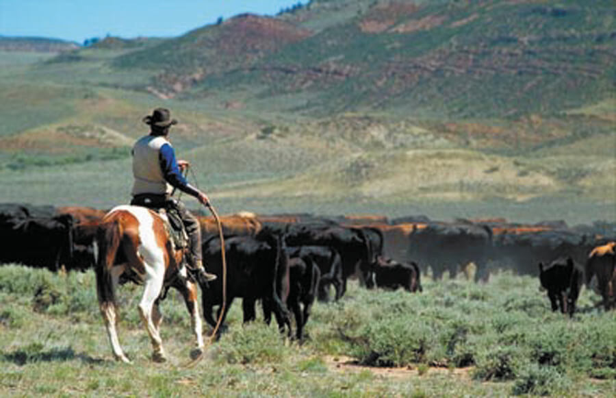 Ranch Land Colorado