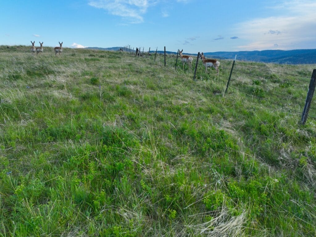 Heavens Gate On The John Day River Ranch For Sale Oregon