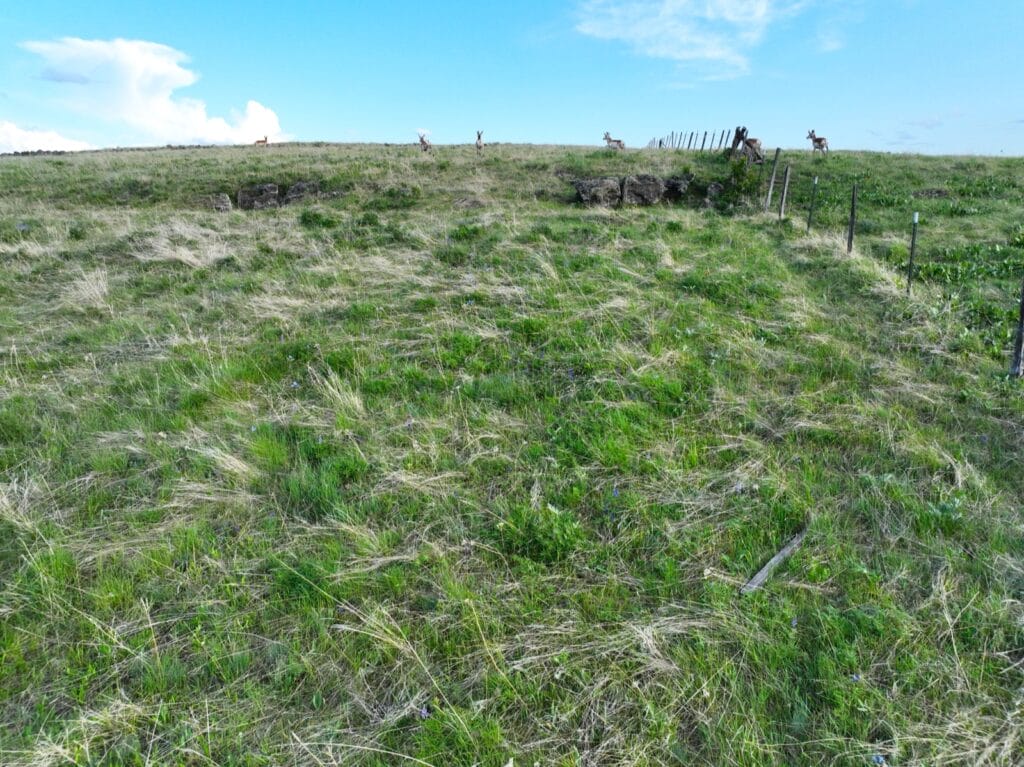 Heavens Gate On The John Day River Ranch For Sale Oregon