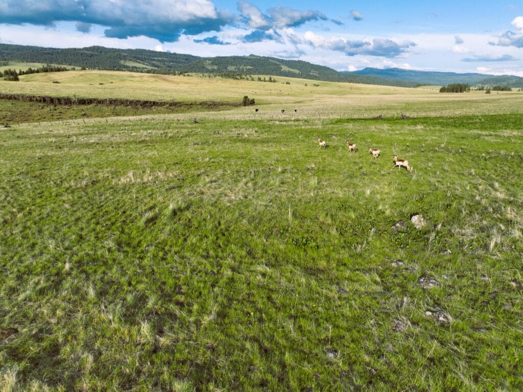 Heavens Gate On The John Day River Ranch For Sale Oregon