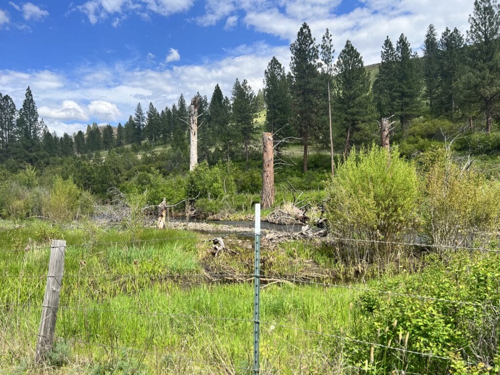 Heavens Gate On The John Day River Ranch For Sale Oregon