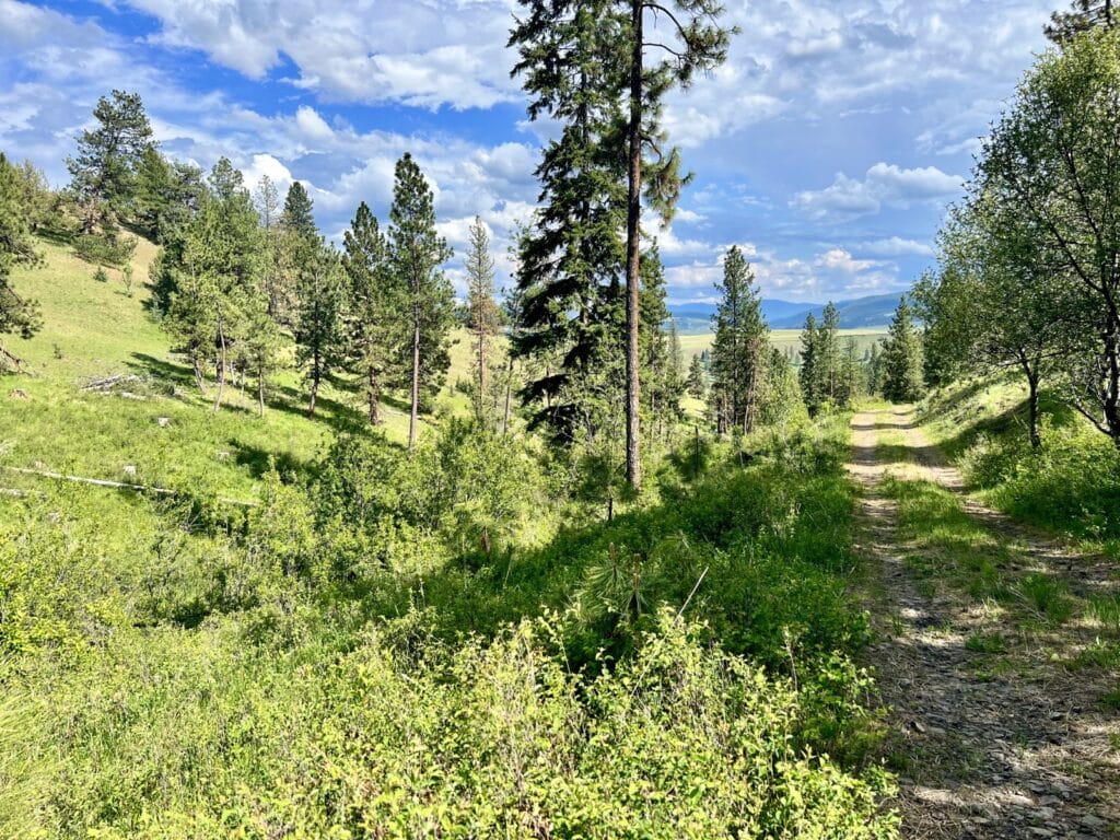 Heavens Gate On The John Day River Ranch For Sale Oregon