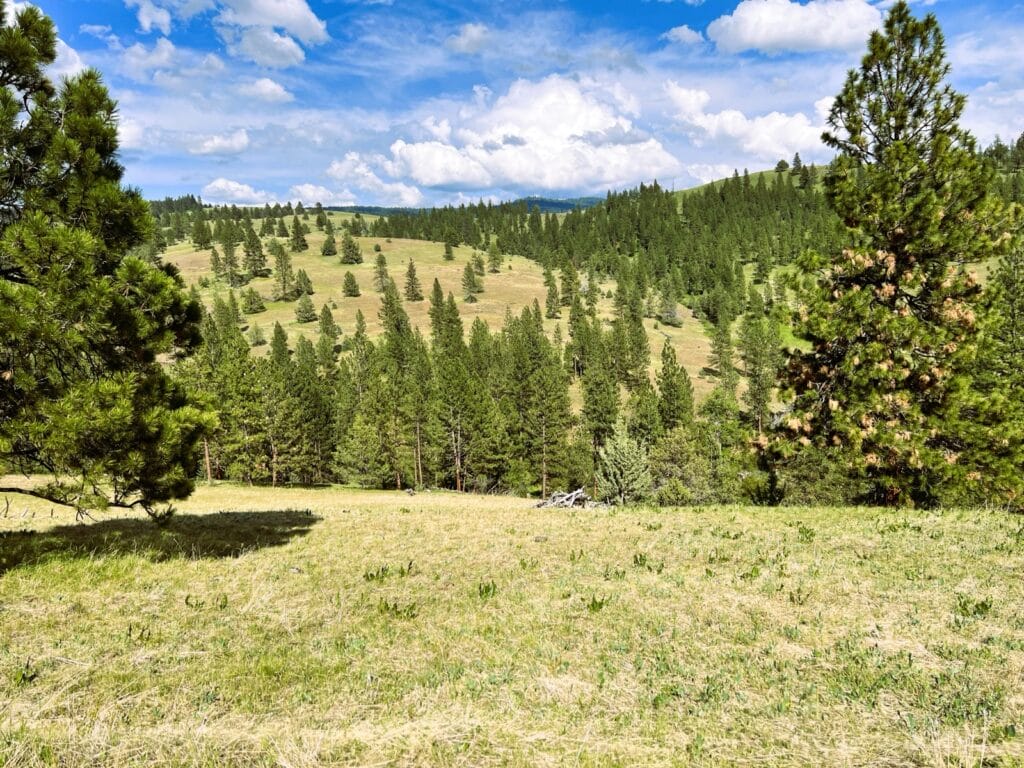 Heavens Gate On The John Day River Ranch For Sale Oregon