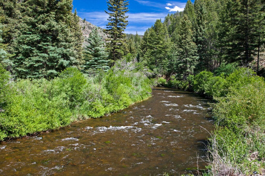 Brown Trout Ranch For Sale in Colorado | Fishing | Live Water