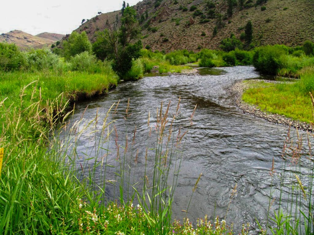 Brown Trout Ranch For Sale in Colorado | Fishing | Live Water