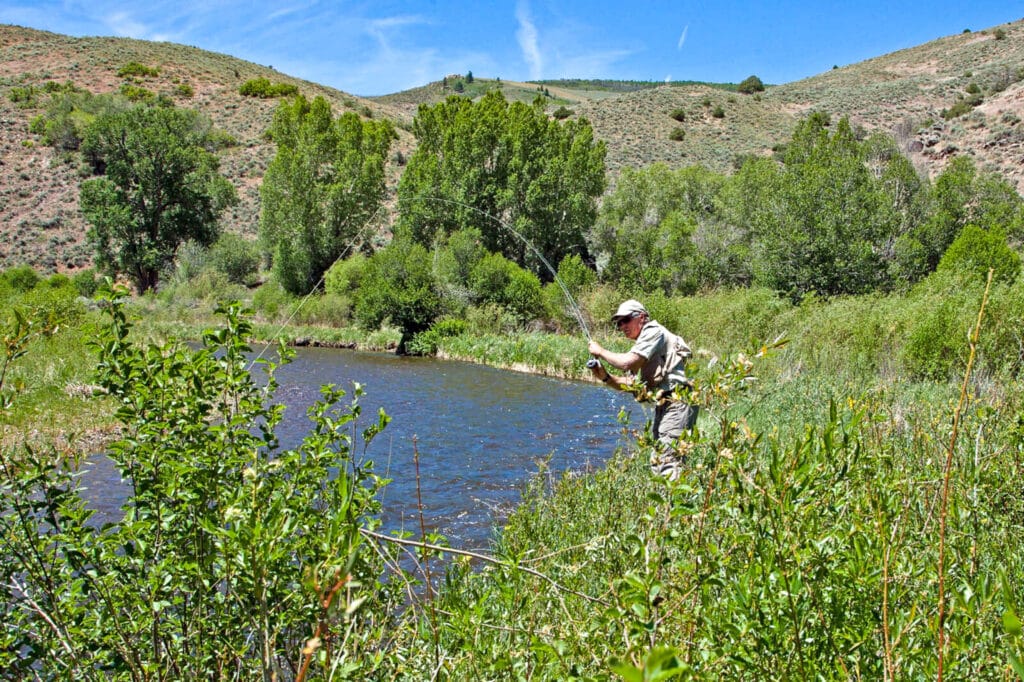 Brown Trout Ranch For Sale in Colorado | Fishing | Live Water