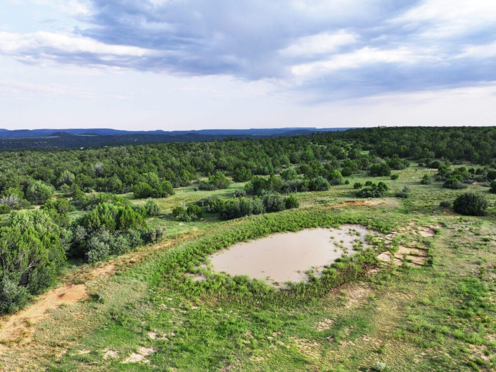 Cliffside Ranch For Sale in New Mexico | Hunting Ranch | M4 Ranch Group