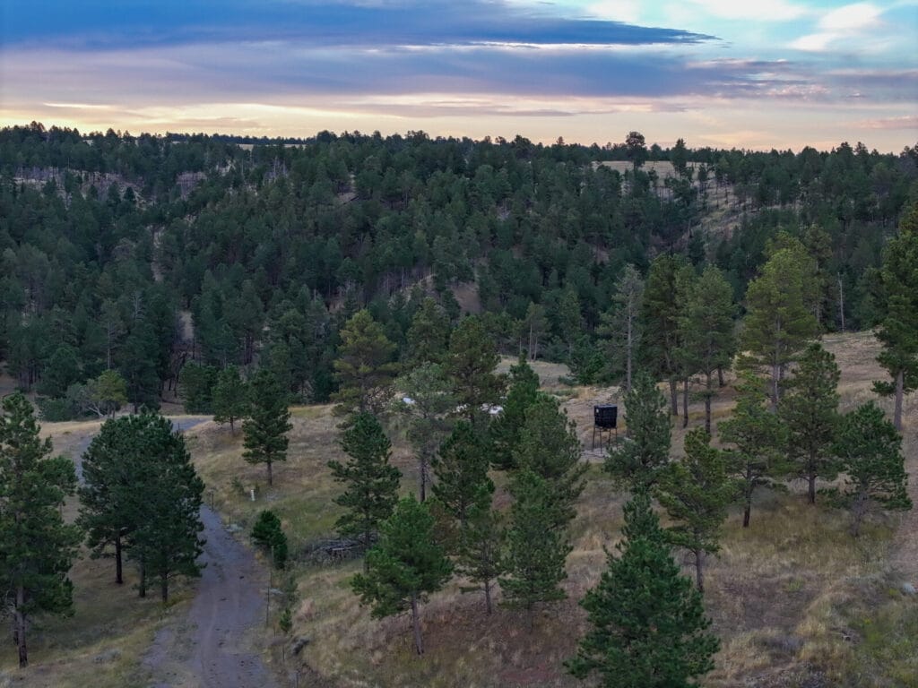 Sundance Ranchette For Sale Wyoming | 78+ Acre | M4 Ranch Group