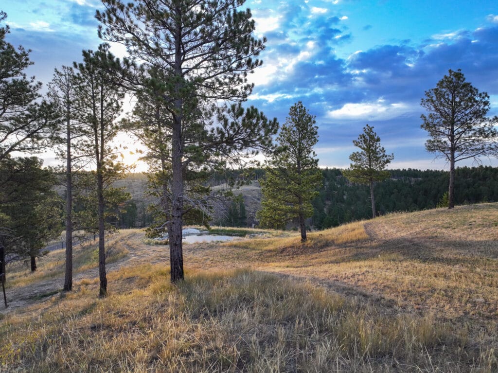 Sundance Ranchette For Sale Wyoming | 78+ Acre | M4 Ranch Group