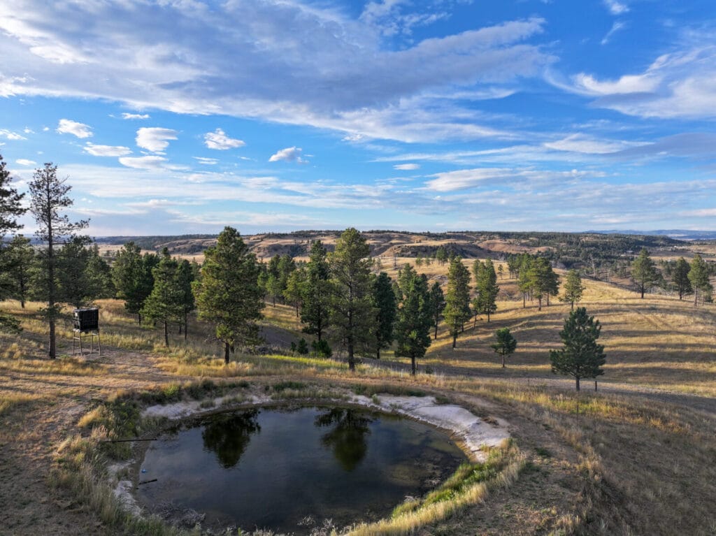 Sundance Ranchette For Sale Wyoming | 78+ Acre | M4 Ranch Group