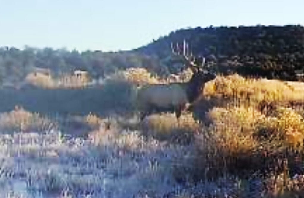Elk Crossing Ranch For Sale NM | New Mexico Ranches For Sale