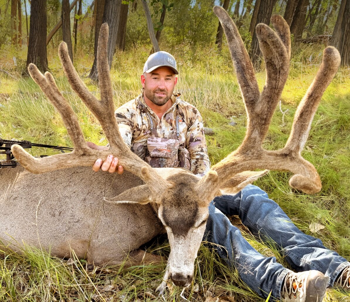 The Colorado Monarch | Elk Bowhunter Seth Craft