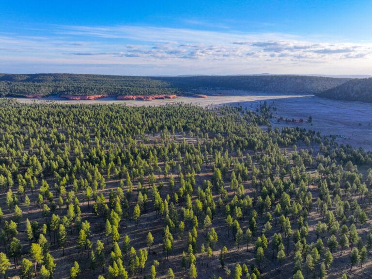 Breathtaking Views of Bear Springs Ranch, featuring the Expansive 8,158.29± Deeded Acre Property and Fully Functional Ranch- a New Mexico Ranch For Sale