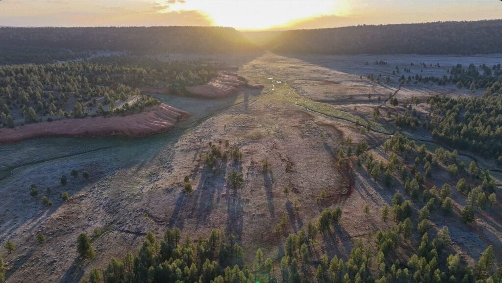 New Mexico Sunset, casting shadows and a beautiful orange glow on the trees and red terrain of Bear Springs Ranch