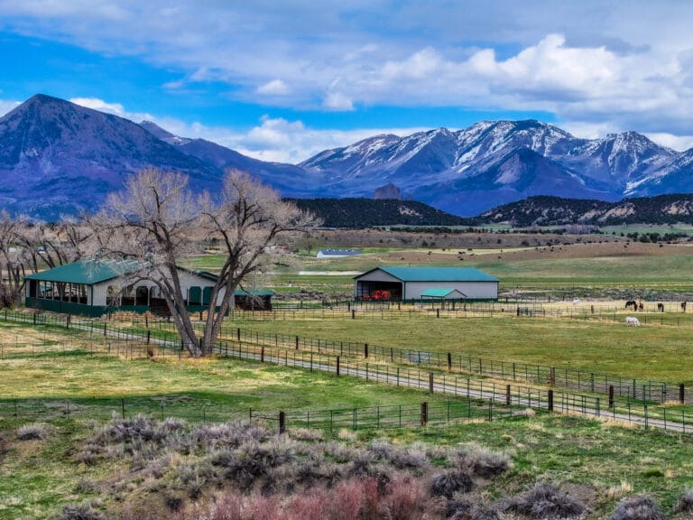 Stunning West Elk Mountain Views, surrounding the Expansive, Lush, 40± Acre Property- Crawford Equestrian Ranch, a Colorado Ranch For Sale