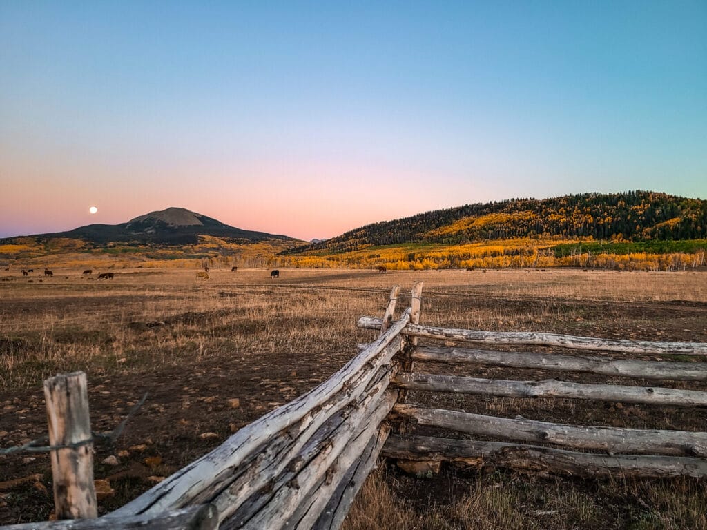Tm Ranch Colorado Telluride Mesa Ranch | Colorado Ranch For Sale | M4 Ranch Group