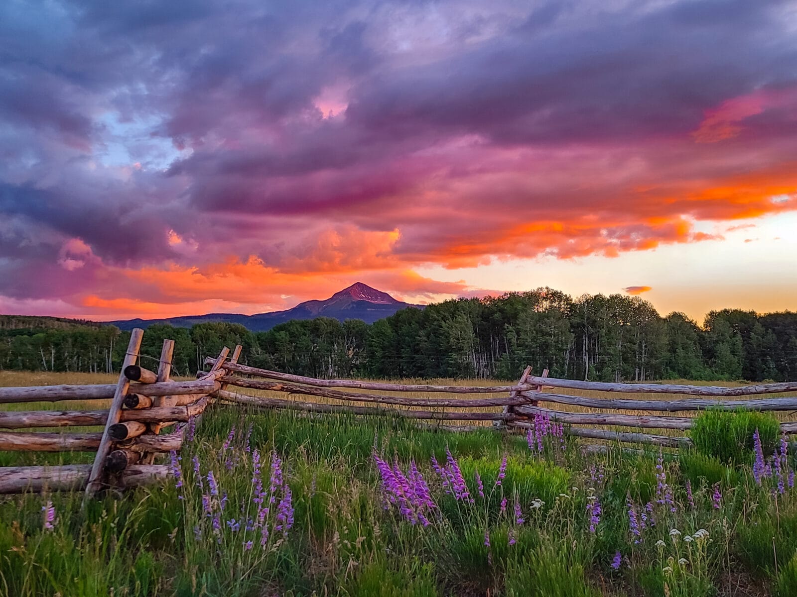 Beautiful Pink and Purple Sunset over Telluride Mesa Ranch, featuring Colorado Mountains, Aspen Forest, Ranch Fencing, Tall Green Grass Fields and Purple Wildflowers