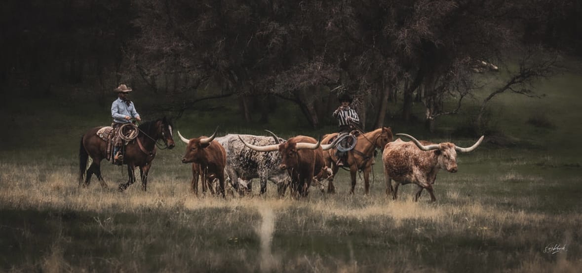Farming and Agriculture Land and Lifestyle | Colorado